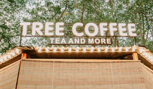 [Review Cafe Nghĩa Tân] - Khu rừng thu nhỏ “Treeland Coffee” 10