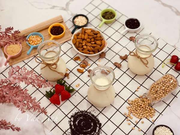 Sữa Hạt là gì ? Cách chọn Hạt, Cách nấu Sữa Hạt, Siêu tác dụng của Sữa Hạt 3