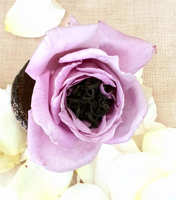Tự ướp trà với hoa hồng vườn nhà 2
