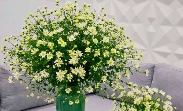 Cách chọn và cắm hoa Cúc Họa Mi 39