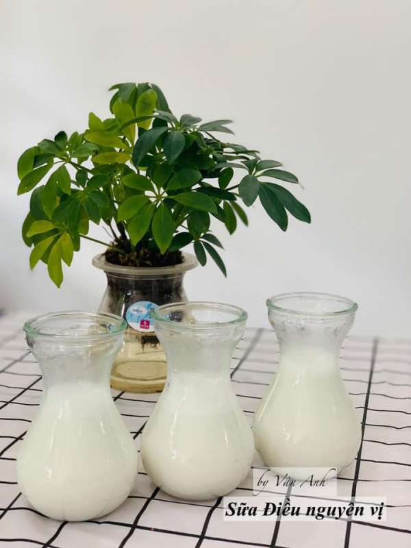 Sữa Hạt là gì ? Cách chọn Hạt, Cách nấu Sữa Hạt, Siêu tác dụng của Sữa Hạt 10
